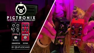 Pigtronix Octava  OFM Disnortion  reviews by uplescano [upl. by Hars]