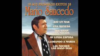 Mario Saucedo  Mis Primeros 18 Exitos Disco Completo [upl. by Uile]