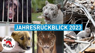 Jahresrückblick 2023  VIER PFOTEN [upl. by Alracal]