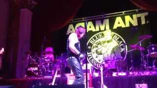 Adam Ant  Tabletalk  Cheltenham 2014 HD [upl. by Shamrao371]