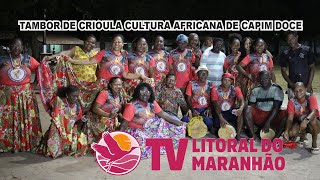 TAMBOR DE CRIOULA CULTURA AFRICANA DE CAPIM DOCE  CURURUPU  MARANHÃO [upl. by Boggers102]