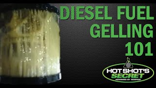 Explaining Why Diesel Fuel Gels and How to Use Diesel Winter AntiGel [upl. by Orhtej266]