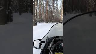 arctic cat Pantera 800efi [upl. by Anaid]