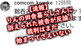 【速報】りんの田舎暮らしさんに訴えられた被告が反論！裁判はまだ始まってさえいない [upl. by Francene325]