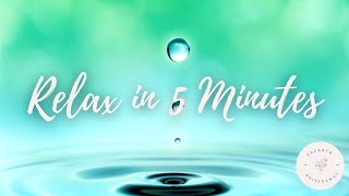 Relax in 5 Minutes  5 Minute Progressive Muscle Relaxation [upl. by Eldrida]