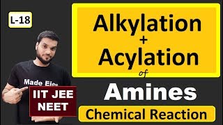 L18 Alkylation  Acylation of Amines  Chemical Reactions  JEE NEET  By Arvind Arora [upl. by Aribold]