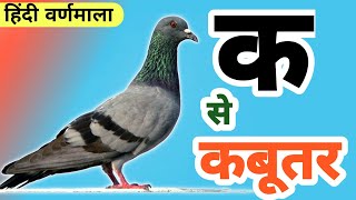 Anar Aam Hindi Varnamala Learning Video  ABCD for Kids [upl. by Artim775]