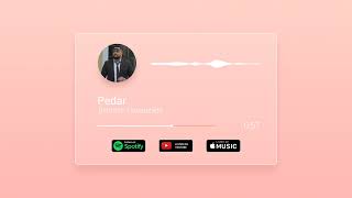 Behnam Hasanzade  Pedar  OFFICIAL TRACK پدربهنام حسن زاده [upl. by Oigres]