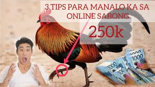 3 TIPS KUNG PAANO MANALO SA ONLINE SABONG onlinesabong [upl. by Laidlaw32]