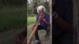 Didgeridoo Sound Healing [upl. by Maite]