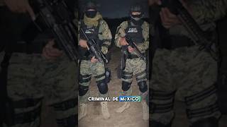 CARTEL DEL NORESTE SUCESORES DE LOS ZETAS🇲🇽☠️ shorts mexico military narcos facts [upl. by Reddy]