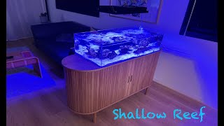 NANO SHALLOW REEF Aquarium Relaxation  Nano Shallow Tank [upl. by Assertal318]