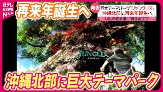 【ジャングリア】巨大テーマパーク沖縄北部に再来年誕生へ 期待と不安の声も… [upl. by Aiym]