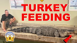 How The Alligators Eat On Thanksgiving [upl. by Dickson]