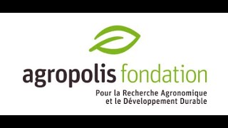 Vidéo présentation Agropolis Fondation [upl. by Heins875]