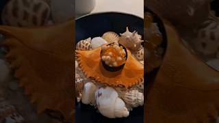 👉 Michelin ⭐️⭐️ Restaurant VORO Canyamel mallorca 👈 [upl. by Trixie]