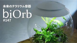 超大型テラリウム容器biOrbバイオーブ【商品レビュー】 147 [upl. by Viki296]