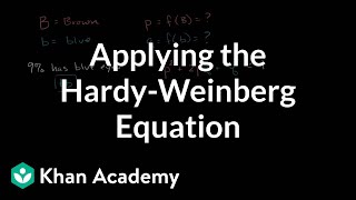 Applying the HardyWeinberg equation  Biomolecules  MCAT  Khan Academy [upl. by Eiclud]