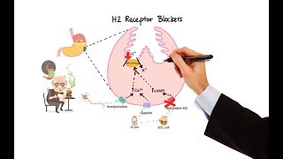 Pharmacology  ANTIHISTAMINES MADE EASY [upl. by Leopold]