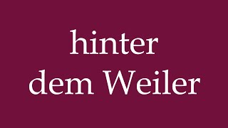 How to Pronounce hinter dem Weiler behind the hamlet Correctly in German [upl. by Siro271]