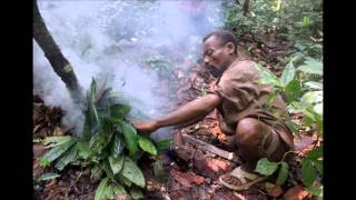 Mbuti Pygmies Song after collecting honey amp hunting song [upl. by Nagap62]