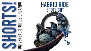 Hagrid Ride Spotlight POV  Island of Adventure Orlando shorts [upl. by Yaniv]