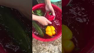 Chili and Fruits ChiliPeppers Fruits SpicyFruitRecipes FruitSalads [upl. by Eitten]