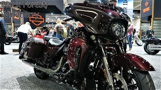 2019 CVO Street Glide HarleyDavidson │ All 3 Colors and Whats New [upl. by Anitaf289]