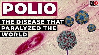 Polio The Disease that Paralyzed the World [upl. by Enra168]