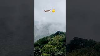 Wow❤️ Moving Foggy✨ shorts fog mountain traveling youtube [upl. by Dnilasor]