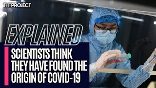 EXPLAINED Scientists Think They Have Found The Origin Of Covid19 [upl. by Ylime]