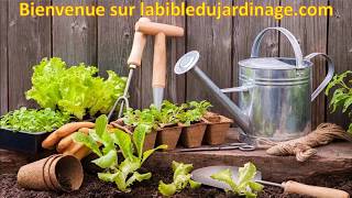 Calendrier COMPLET du potager du jardin et du verger [upl. by Cartwell]