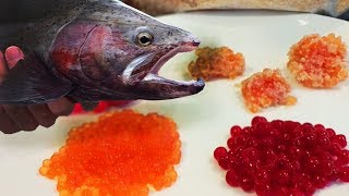 EASY SIMPLE Egg Curing for Salmon amp Steelhead Bait  Catching Fishing on the Results [upl. by Aerdnat717]