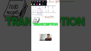 Transcription amp Translation Explained [upl. by Tezil292]