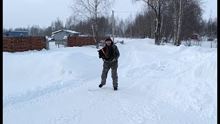 Тайский РиджБекТайсонТрюковой марафонРабочие моменты 20240209 Thai Ridgeback Working moments [upl. by Chadbourne]