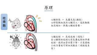 IABP簡介及護理 [upl. by Ocer525]