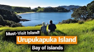 🗺️ A Day on Urupukapuka Island in the Bay of Islands – New Zealands Biggest Gap Year [upl. by Enelaehs]