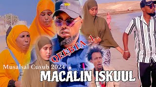 MACALIN ISKUUL 📚QEEBTA1 MUSALSAL CUSUB 2024 SOMALI TIKTOK SHORTS FLIM [upl. by Lon518]