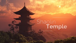 Shaolin Temple  Kung Fu Wushu Tai Chi Practise Sounds [upl. by Eniamurt989]