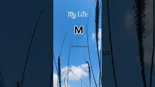 My Life m tere liye ye sab dete Trending song status video [upl. by Leva]