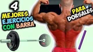 Los 4 MEJORES EJERCICIOS Con BARRA 👉 Para Ganar UNOS DORSALES Grandes Y Musculosos  ESPALDA [upl. by Harberd224]