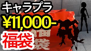 【福袋開封】11000円プラモ福袋を開封！！ガンプラに美プラも！？【謹賀新年】 [upl. by Ferino325]