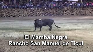 Toro El Mamba Negra Dando Tremendas Jugadas En Dzoncauich 2017 [upl. by Merritt]