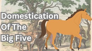 Domestication Of The Big Five [upl. by Akemehs]