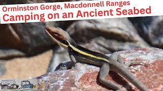 Exploring Orminston Gorge MacDonnell Ranges [upl. by Etnoid]