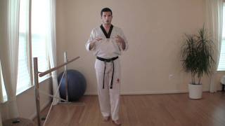 TaeKwonDo Jump Snap Kick Tutorial [upl. by Liakim376]