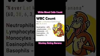 White Blood Cells Count  WBC Count  shorts wbcs viral trending short wbc [upl. by Htinek855]