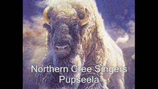 Northern Cree Singers  Pupseela [upl. by Eiramesor]