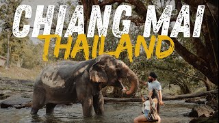 Chiang Mai Thailand  Elephant Sanctuary  Travel Vlog [upl. by Kano]