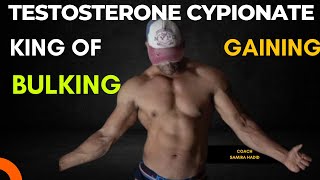 testosterone Cypionate Cycle  beginner steroid cycle  Gaining Cycle  bulking cycle [upl. by Terina]